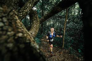 BIB: 
                            <button type="button" onclick="openModal(25666360)" class="btn btn-primary btn-sm float-right btn-popup" data-toggle="modal" data-target=".modal-high-quality">
                        <i class="fas fa-shopping-cart"></i> Add to Cart
                    </button>
                                            <button type="button" onclick="isThisMe(25666360, true)" class="btn btn-success btn-sm float-right btn-popup btn-isme hidden" data-toggle="tooltip" data-placement="bottom" title="นี่คือรูปของคุณใช่ไหม คลิกที่นี่เพื่อเอาเข้าอัลบั้ม">
                        <i class="fas fa-plus"></i> Add to album
                    </button>
                    <button type="button" onclick="isThisMe(25666360, false)" class="btn btn-warning btn-sm float-right btn-popup btn-isnotme hidden">
                        <i class="fas fa-ban"></i> Remove from album
                    </button>